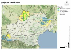 Carte de coopération ciel étoilé