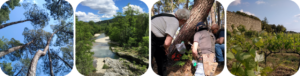 Les ressources locales - GAL Des Cévennes au Rhône