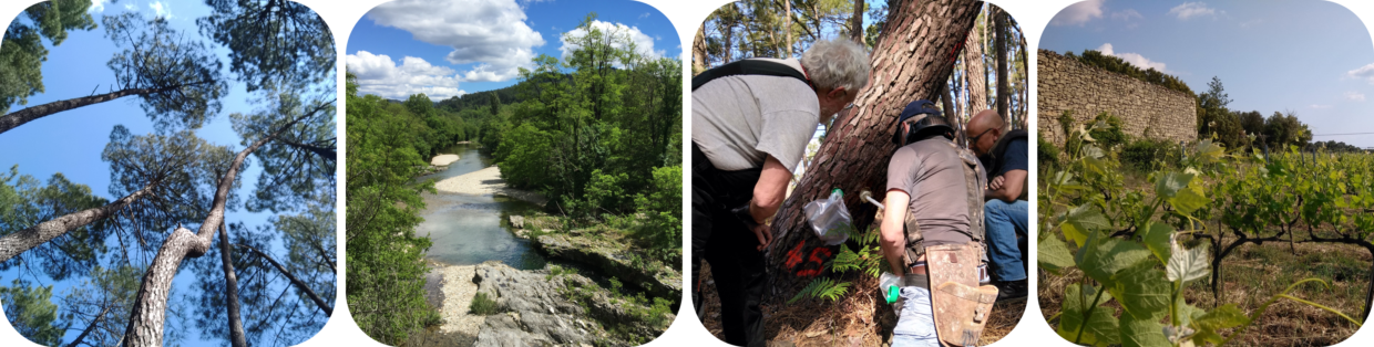 Ressources locales - GAL des Cévennes au Rhône