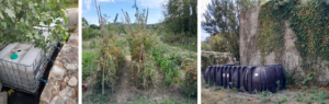 Jardins partagés à Sauve Gard