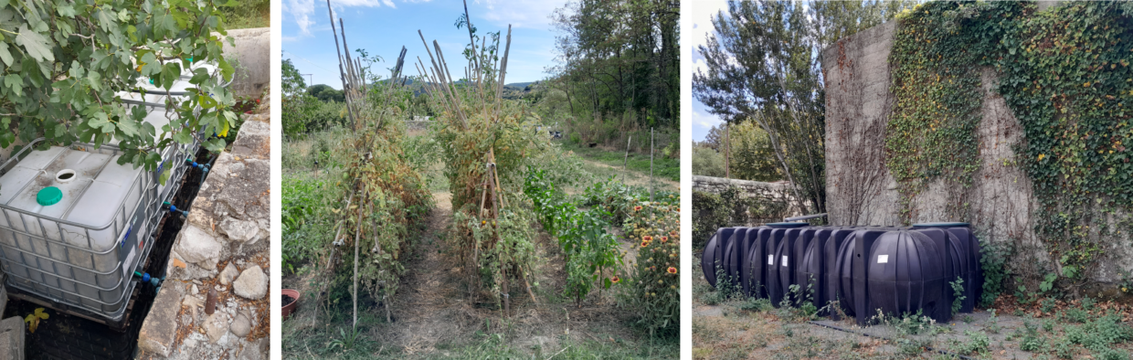 Jardins partagés à Sauve Gard